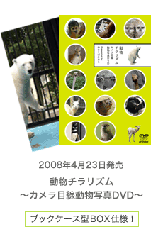 `YDVD