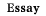 Essay