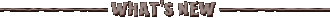 �X�V����