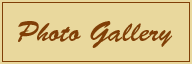 Photo Gallery
