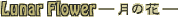 ���̉�
