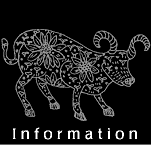 Information