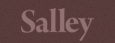 Salley | Special Web Site