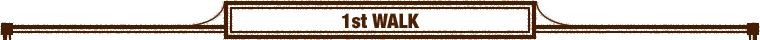 1st WALK���f������[�W�ҁ�