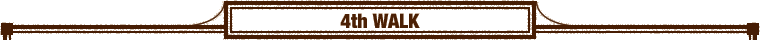 4th WALK���Ŗ������ҁ�