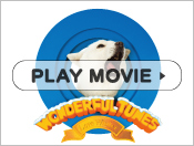 PLAY MOVIE