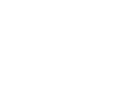 CONNEXTONE