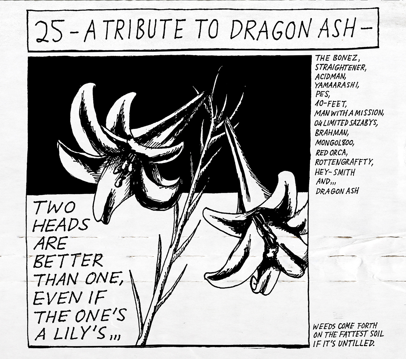 Tribute Album「25 - A Tribute To Dragon Ash -」