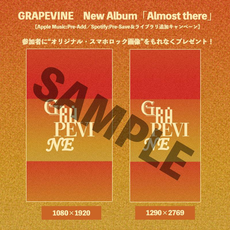 GRAPEVINEレコード2枚『Life time』『Dive time』＋CD