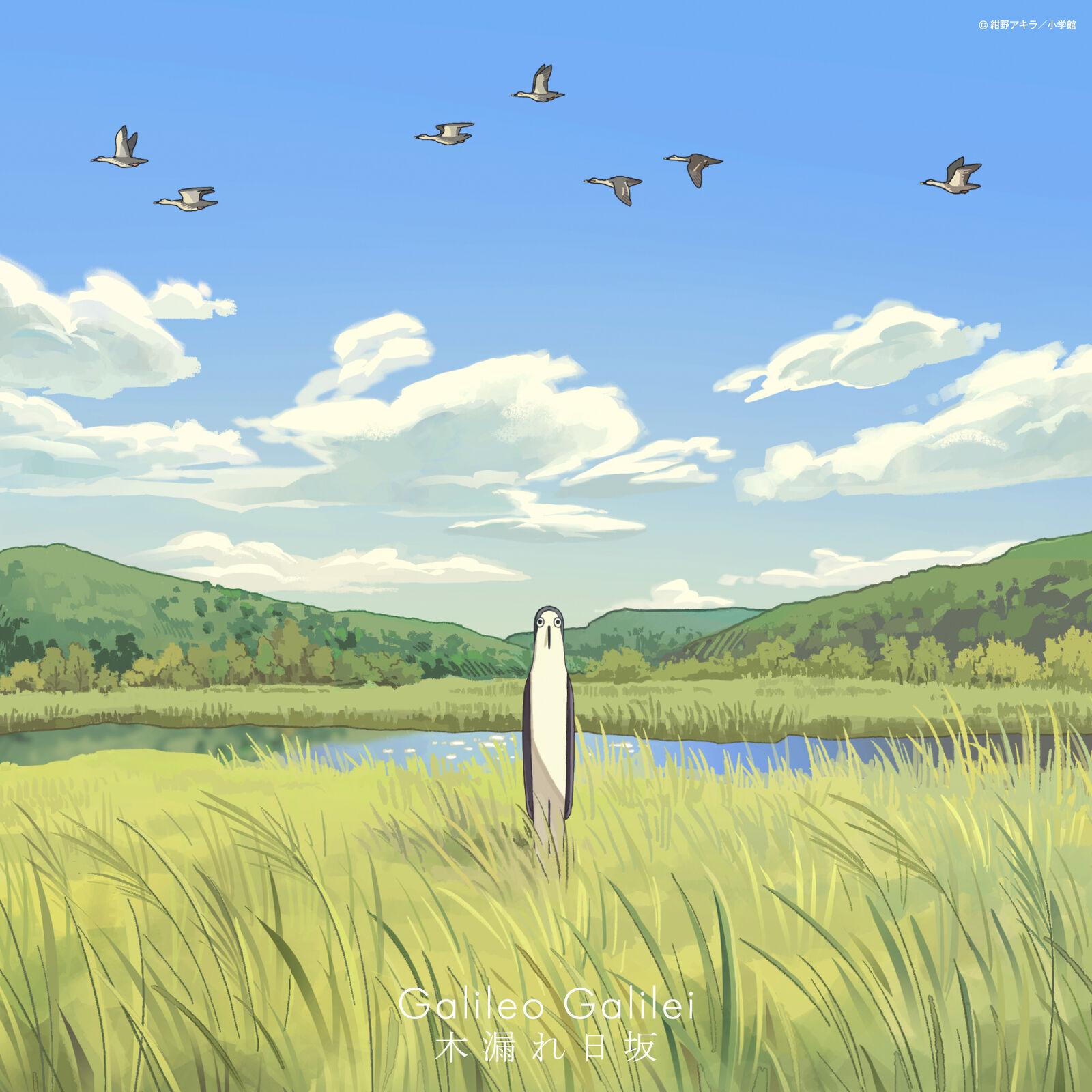 Galileo Galilei | 「木漏れ日坂」/Galileo Galilei サインレシート