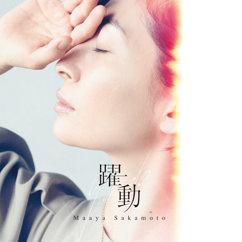 Discography   坂本真綾 Official web site [I.D.