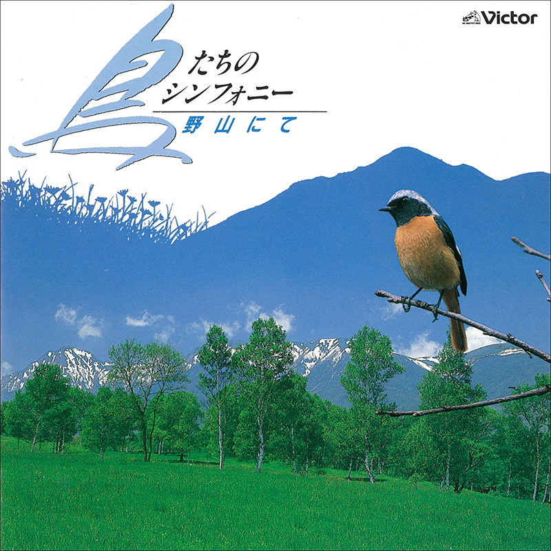 自然音 鳥たちのシンフォニー/日本の野鳥 野山にて ビクターエンタテインメント