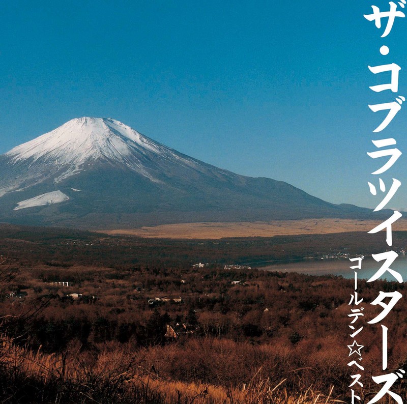 ザ・コブラツイスターズ              The Cobratwisters