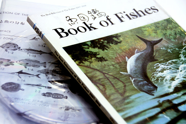 サカナクション 魚図鑑 期間限定生産盤 ビクターエンタテインメント サカナクション 魚図鑑 期間限定生産盤 ビクターエンタテインメント