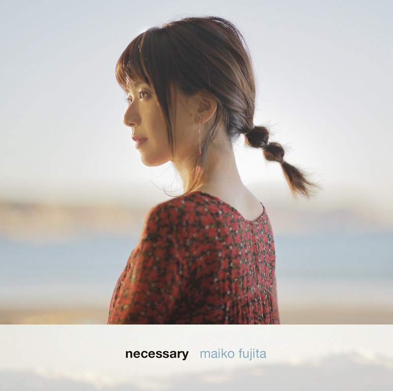 藤田麻衣子 Necessary 通常盤 ビクターエンタテインメント