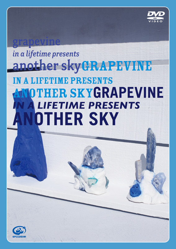 大人気新作 GRAPEVINE Lifetime confmax.com.br