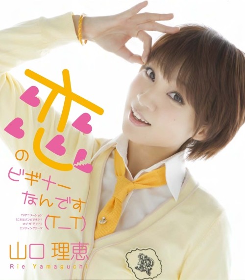 山口 理恵 プロフィール Flyingdog