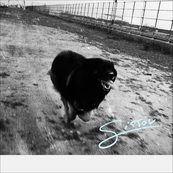 ミュージシャン Yogee New Waves Dog Bowl Yogee New Wavesのルーツミュージックと1970年代ブラック