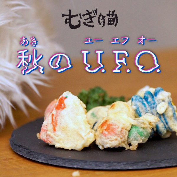 むぎ(猫) | 秋のU.F.O. | スピードスターレコーズ