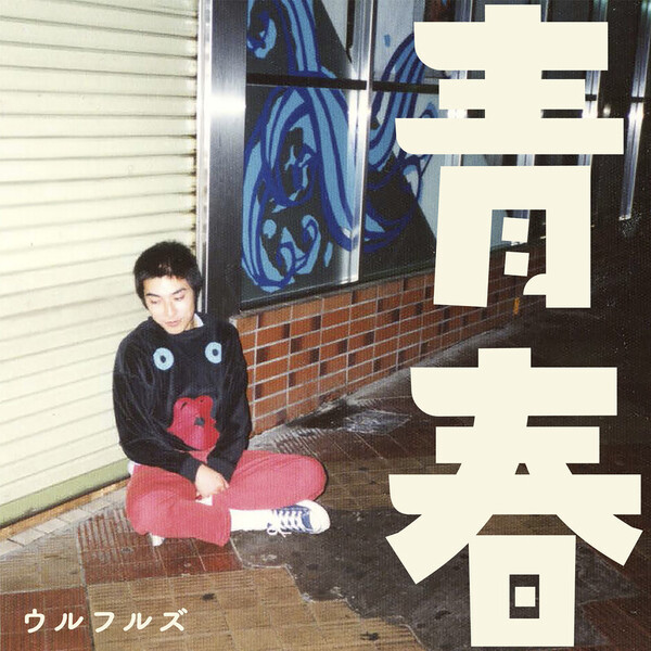 ウルフルズ　MTV集　DVD 台湾正規販売品 ウルフルズ MTV集 DVD 台湾正規販売品