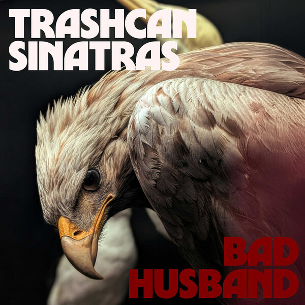 trash can sinatras デモ、B面2枚セット　+ ライブDVD1枚 Trash Can Sinatras, The (トラッシュ・キャン・シナトラズ