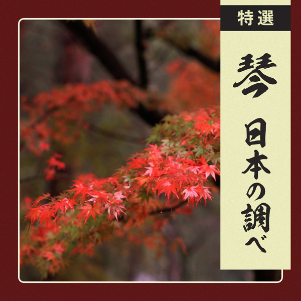 沢井 忠夫Tadao Sawai 特選 琴/日本の調べ Sou(Koto) -Japanese Beautiful Melody with Sou(Koto) Sounds