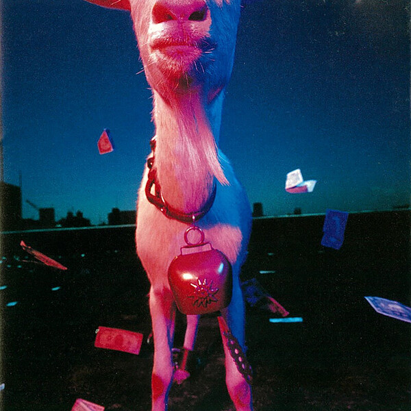 【見本盤含むアナログ盤４枚セット】ANARCHY/アナーキー Anarchy アナーキー – Anarchy アナーキー – s06211 – シエスタレコード