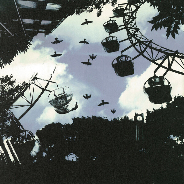 Plastic Tree DVD 7枚セット Plastic tree ネガとポジ 初回盤 61分収録DVDつきCDの通販 by
