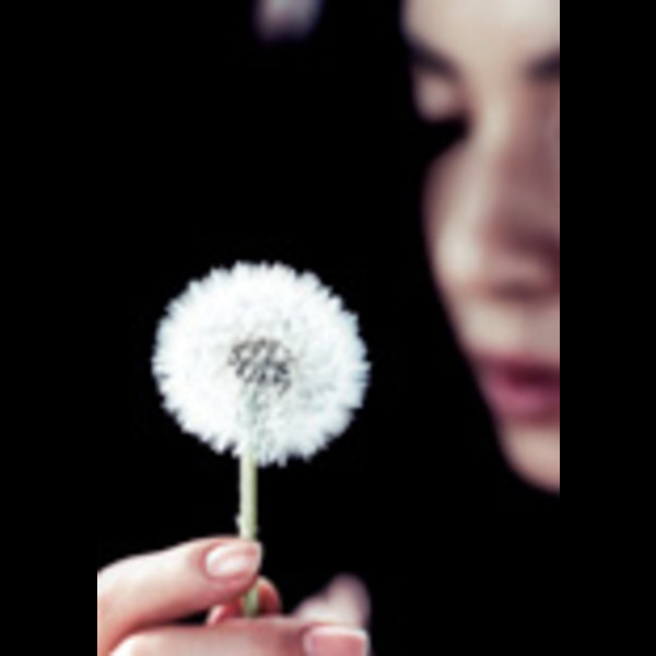 カヒミ・カリィ        Muhlifein