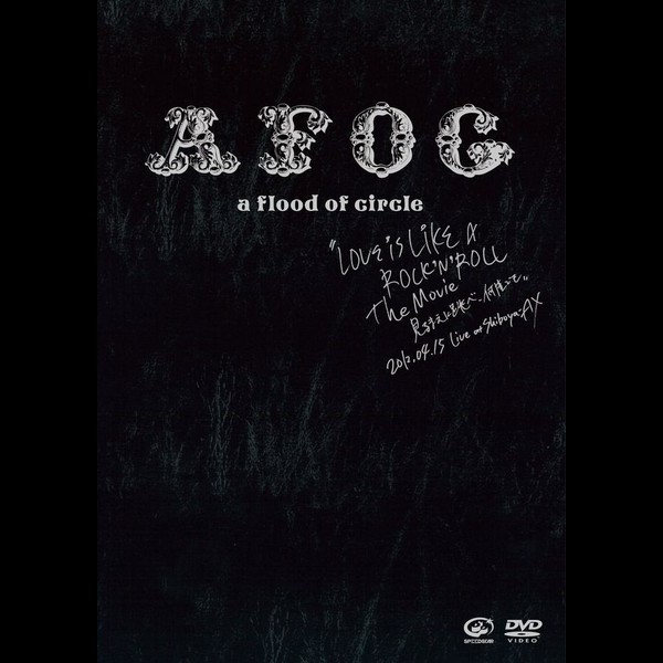 ミュージック a flood of circle LOVE IS DVD a flood of circle | 
