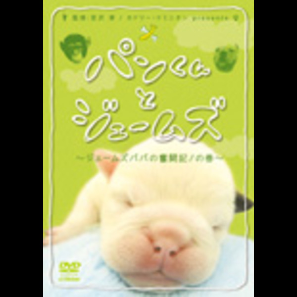 パンくんとジェームズ パンくんとジェームズ ジェームズパパの奮闘記 の巻 ビクターエンタテインメント