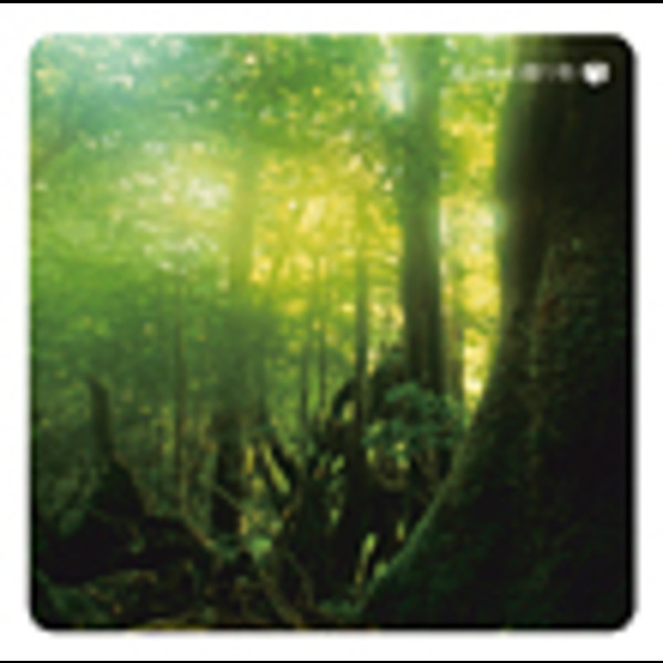 【中古CD】アメリカ物語／神山純一/J PROJECT Amazon.co.jp: AREA Z: ミュージック