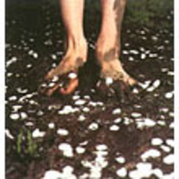 Cocco | けもの道 | ビクターエンタテインメント