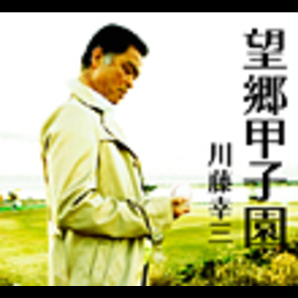 川藤 幸三        望郷甲子園