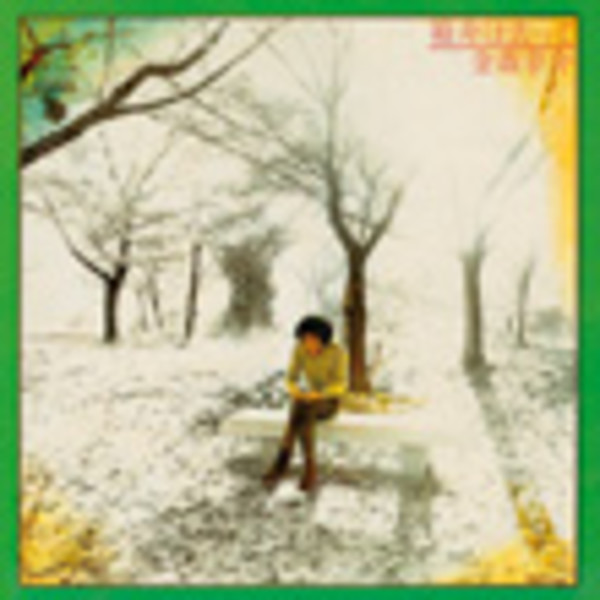 金森 幸介 | 箱舟は去って | ビクターエンタテインメント