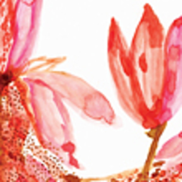 Dew 花図鑑 別冊 ビクターエンタテインメント Dew 花図鑑 別冊 ビクターエンタテインメント