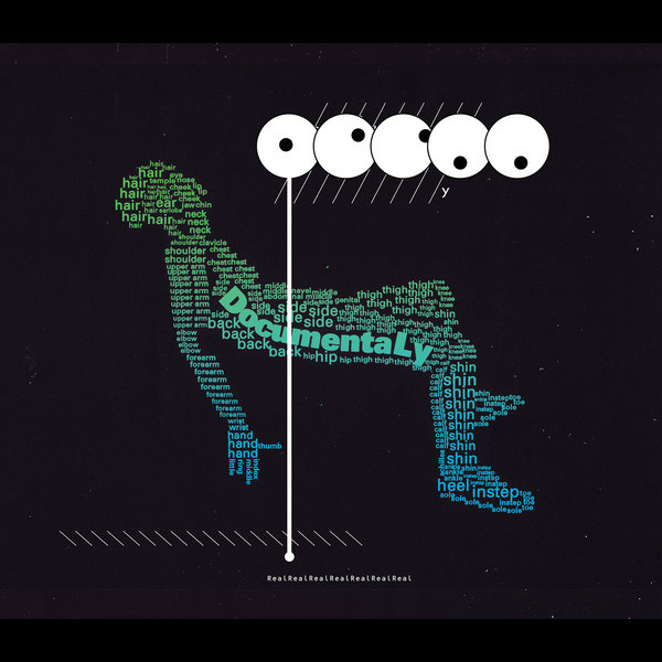 サカナクション DocumentaLy LP レコード-