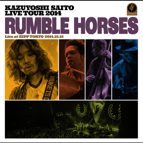 斉藤 和義 | KAZUYOSHI SAITO LIVE TOUR 2014 “RUMBLE 
