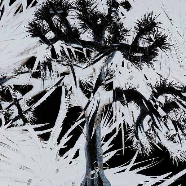 3月限定セール【33枚セット販売】Plastic Tree アルバム シングル VICL-65965.jpg?_c=