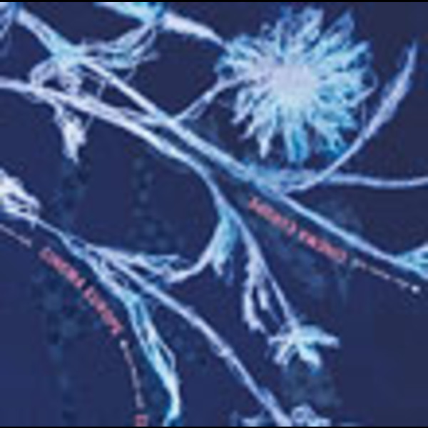 aosis records Compilation［2タイトルセット販売］ aosis records Compilation | Slow Music Style～CINEMA EUROPE