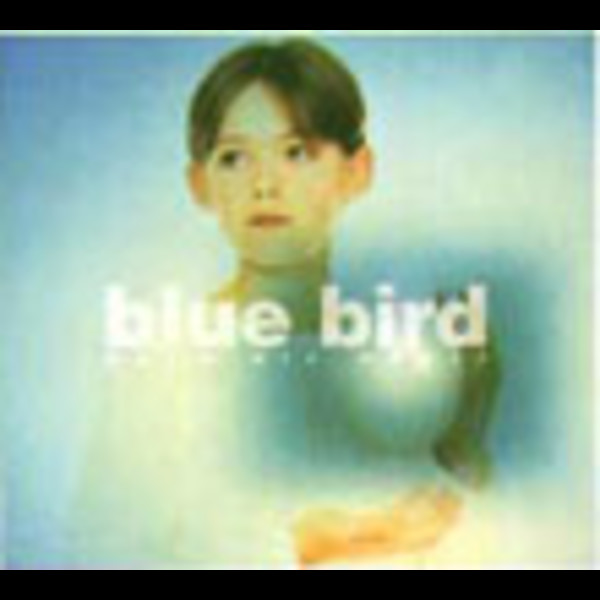 boys air choir | blue bird | ビクターエンタテインメント