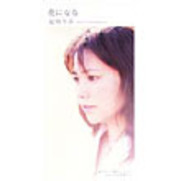 夏川 りみ        花になる