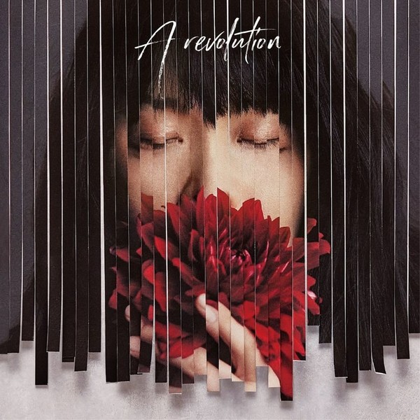 希少 LOVE PSYCHEDELICO レコード 『 THE GREATEST HITS 』美品