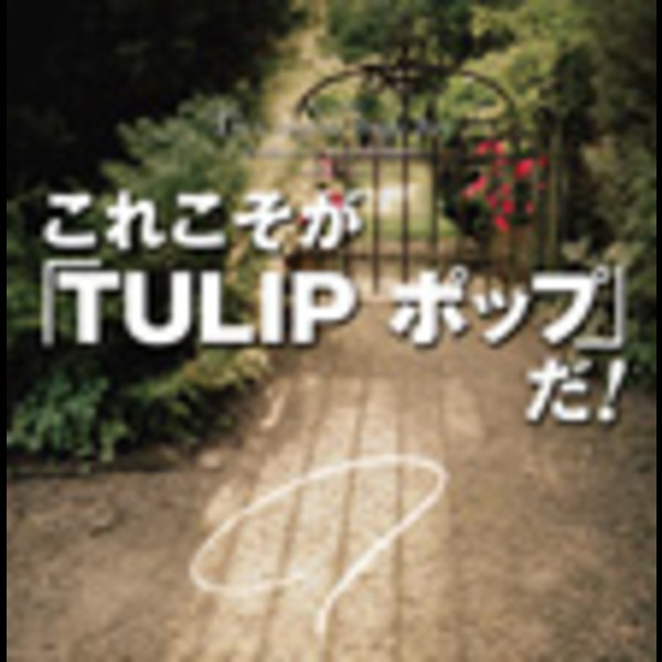 TULIP | これこそが「TULIP ポップ」だ！ | ビクター
