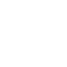 flyingdog