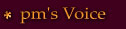 pm's Voice