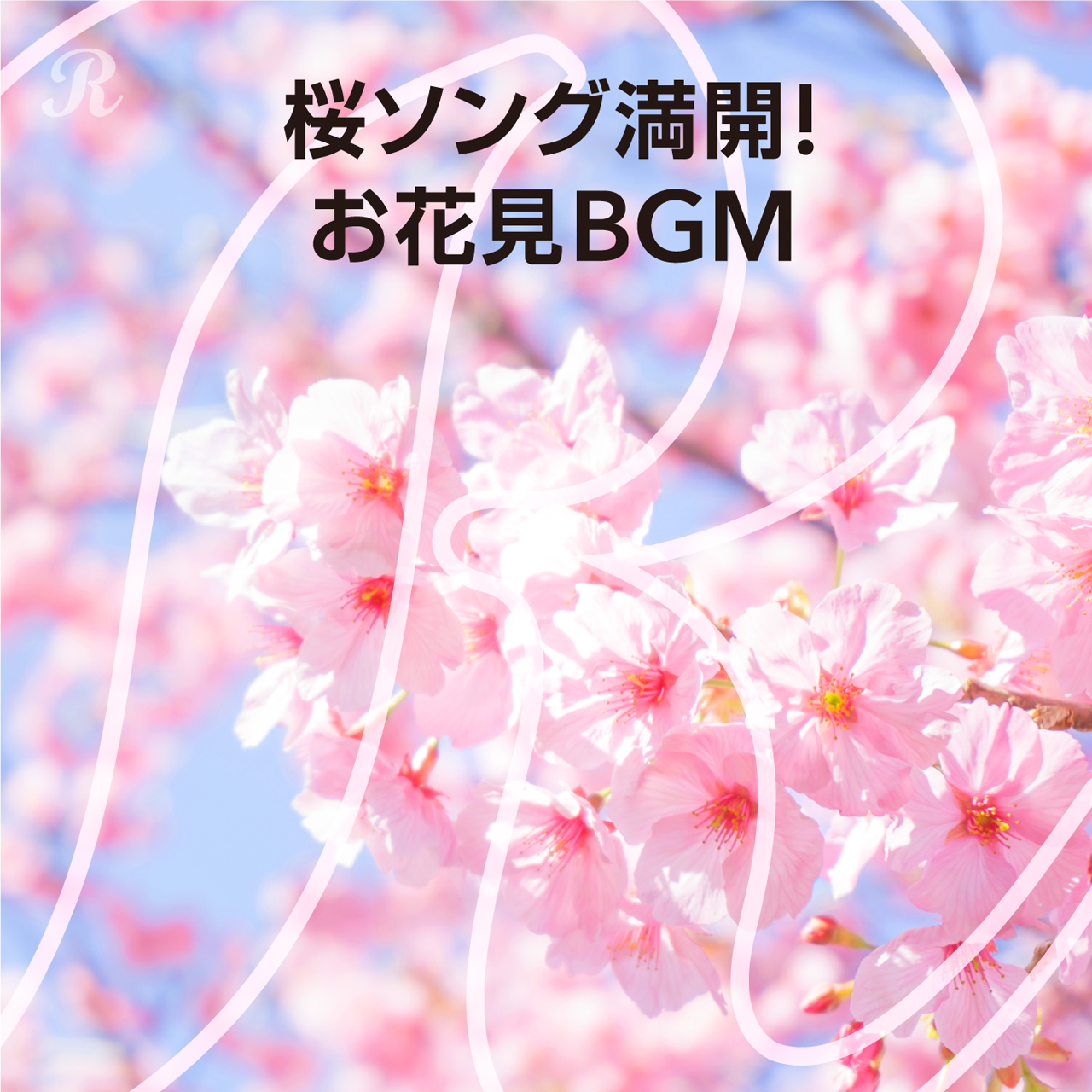 桜ソング満開 お花見bgm プレイリスト ビクターエンタテインメント