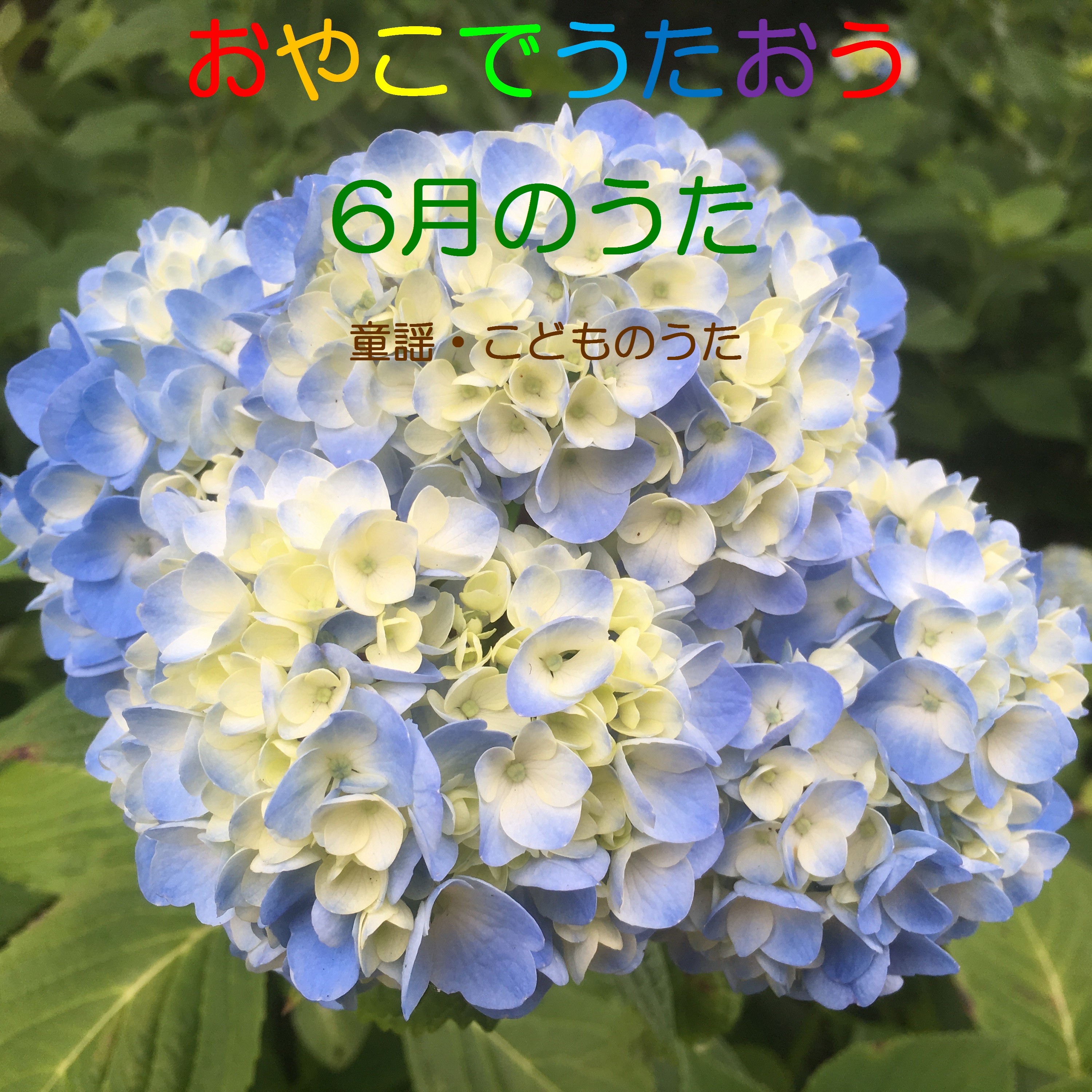 親子で歌おう6月のうた 童謡 こどものうた プレイリスト ビクターエンタテインメント