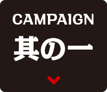 CAMPAIGN其の一